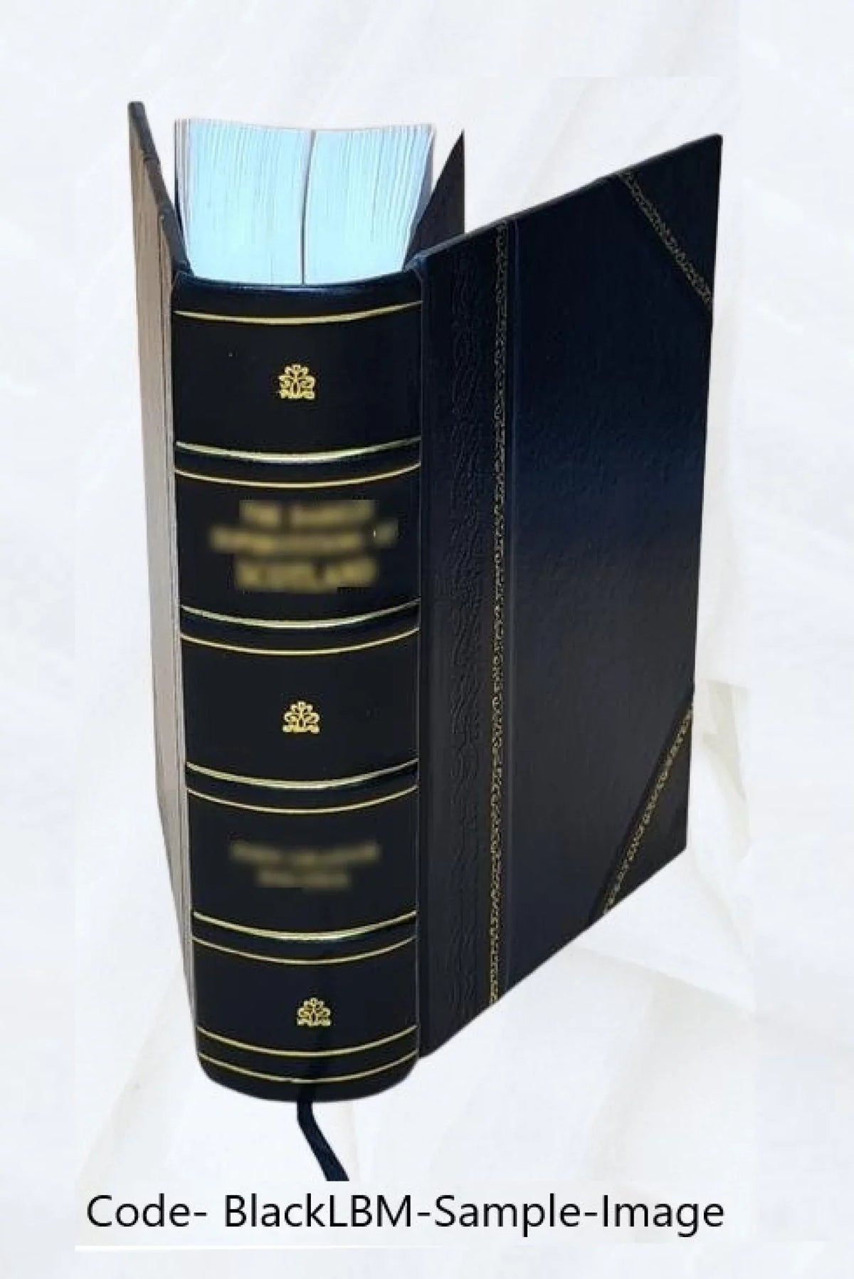 XV-XVIII] [Stólecie Bound] .. Bibliografia Volume [Leather polska. 18 2022