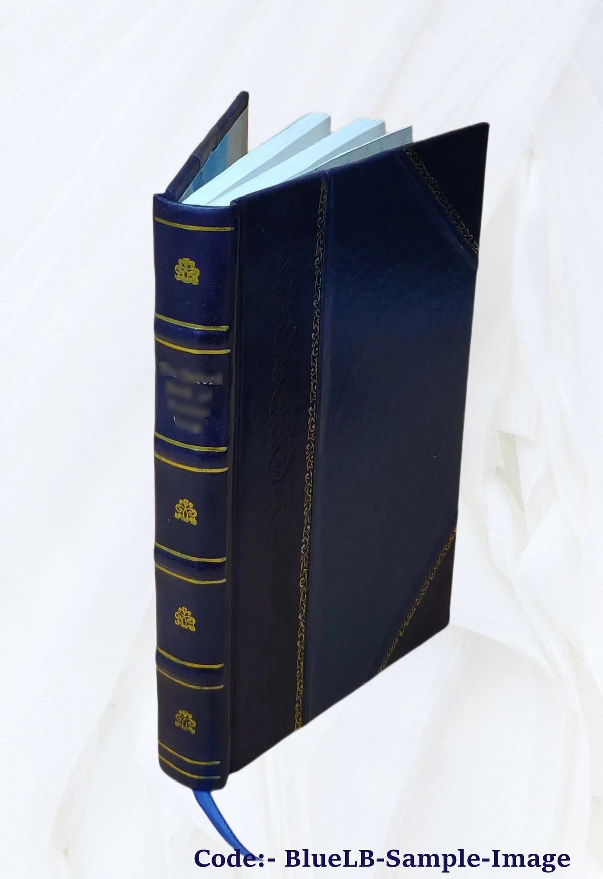 (1905) of [Leather Psi Volume The v.5 Frater 1905 Bound] Omega.