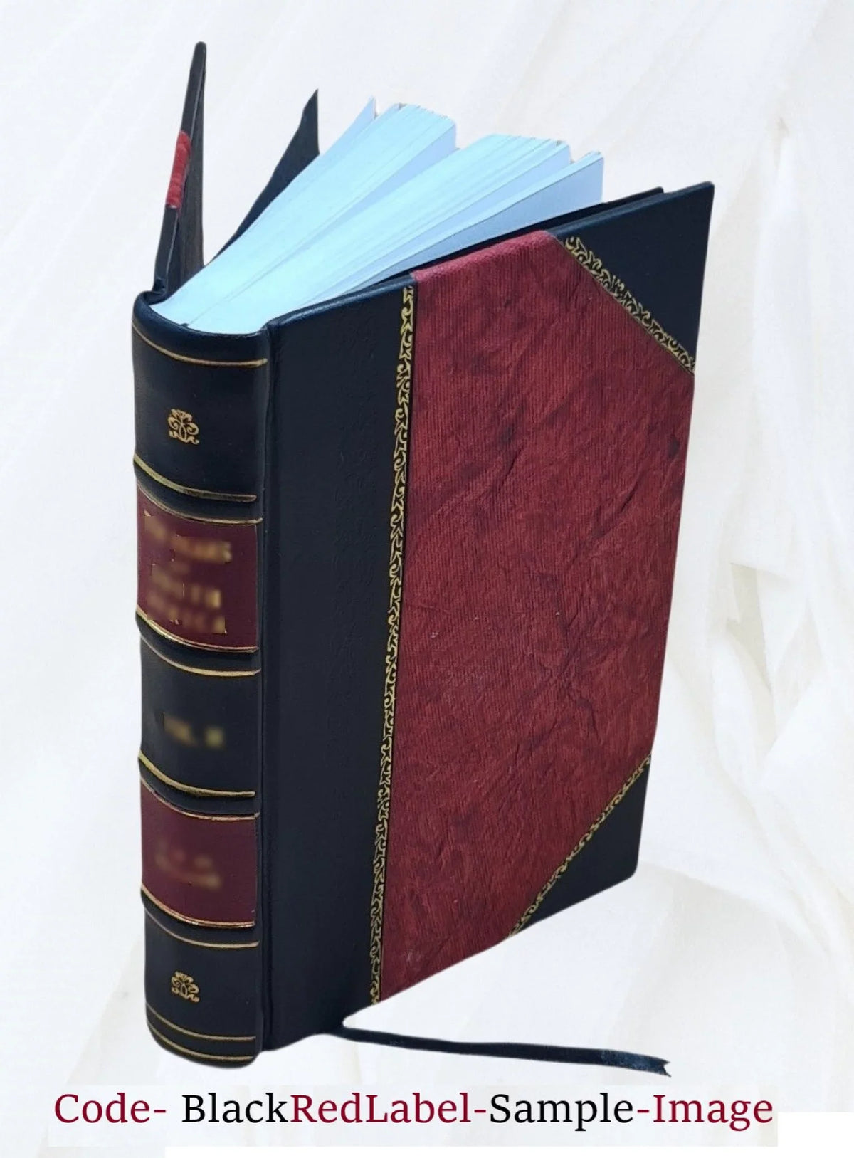 '- Basic Student Text Igbo - Course Bound] FSI [Leather