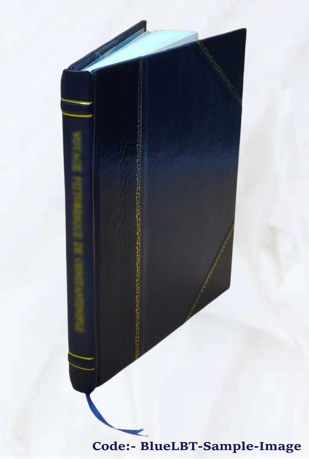 short to with Legal proceedings England Rubenstein. procedure by cypher practice [Leather special Bound] together courts, and / guide code : 1911 in English a a J. in the S.